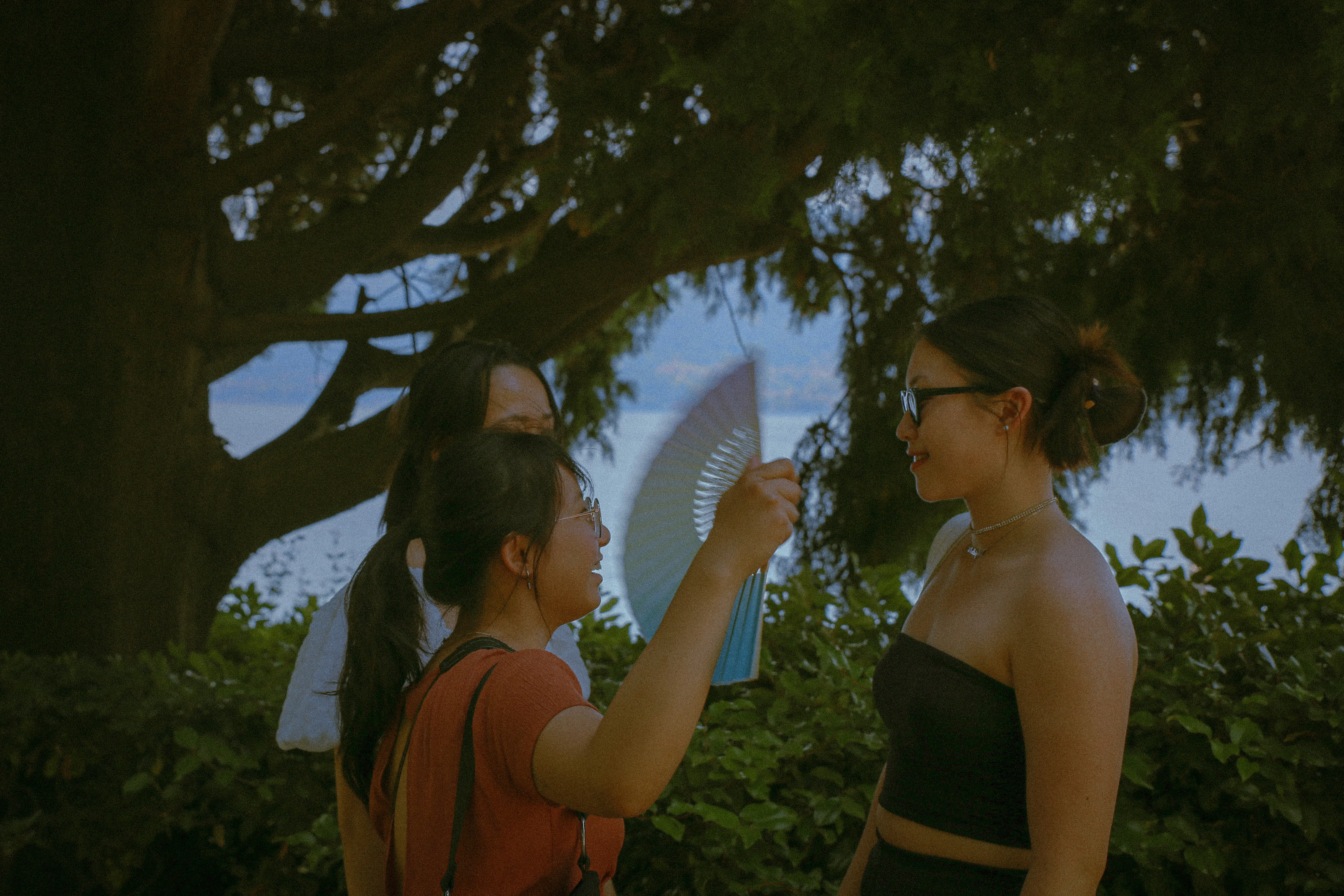 take photos.